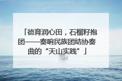 德育润心田，石榴籽抱团——奏响民族团结协奏曲的“天山实践”