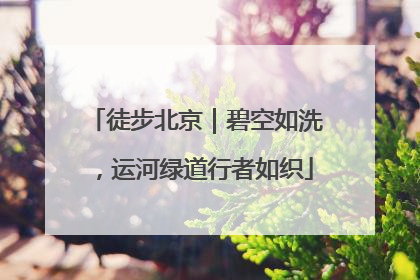 徒步北京｜碧空如洗，运河绿道行者如织
