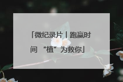 微纪录片丨跑赢时间 “植”为救你