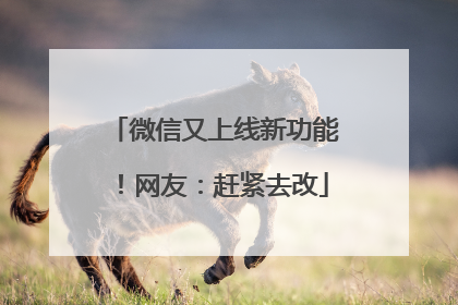 微信又上线新功能！网友：赶紧去改