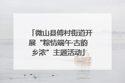 微山县傅村街道开展“粽情端午·古韵乡浓”主题活动