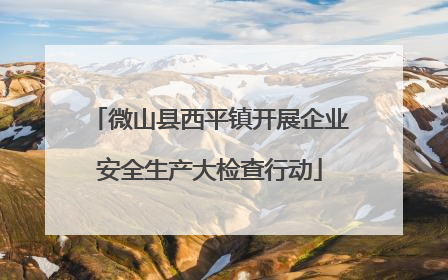 微山县西平镇开展企业安全生产大检查行动