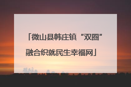 微山县韩庄镇“双圈”融合织就民生幸福网