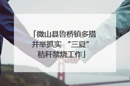 微山县鲁桥镇多措并举抓实 “三夏” 秸秆禁烧工作