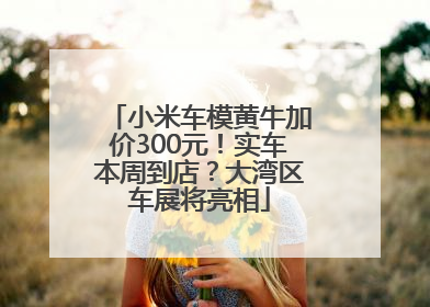 小米车模黄牛加价300元！实车本周到店？大湾区车展将亮相