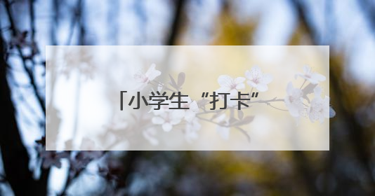 小学生“打卡”法院 沉浸式感受“法”在身边
