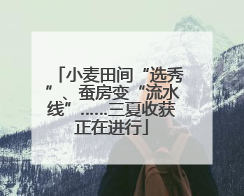 小麦田间“选秀”、蚕房变“流水线”……三夏收获正在进行