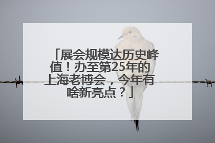 展会规模达历史峰值！办至第25年的上海老博会，今年有啥新亮点？