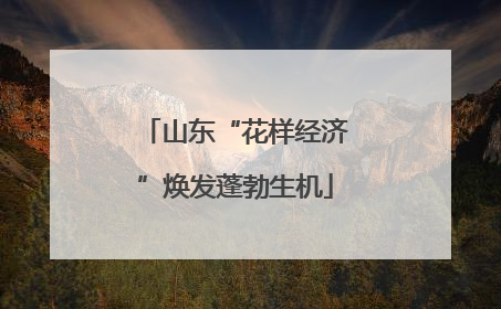 山东“花样经济”焕发蓬勃生机