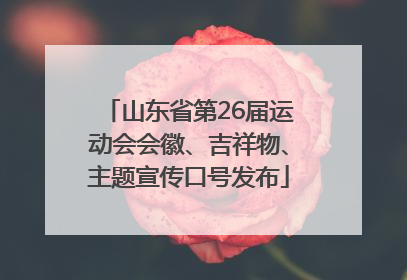 山东省第26届运动会会徽、吉祥物、主题宣传口号发布