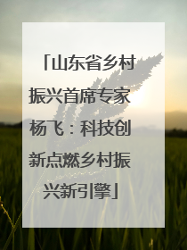 山东省乡村振兴首席专家杨飞：科技创新点燃乡村振兴新引擎