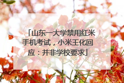 山东一大学禁用红米手机考试，小米王化回应：并非学校要求