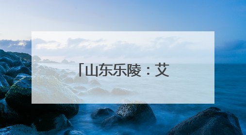 山东乐陵：艾草飘香销售忙