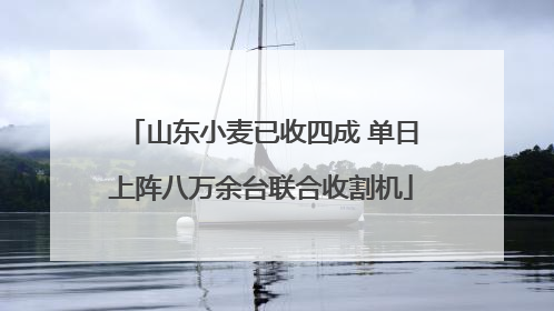 山东小麦已收四成 单日上阵八万余台联合收割机