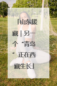 山东援藏｜另一个“青岛”正在西藏生长