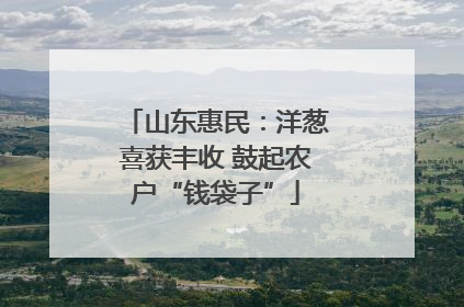 山东惠民：洋葱喜获丰收 鼓起农户“钱袋子”