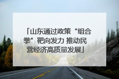 山东通过政策“组合拳”靶向发力 推动民营经济高质量发展