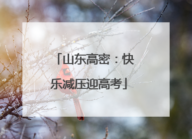 山东高密：快乐减压迎高考