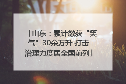 山东：累计缴获“笑气”30余万升 打击治理力度居全国前列