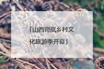 山西岢岚乡村文化旅游季开幕