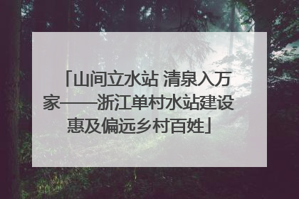 山间立水站 清泉入万家——浙江单村水站建设惠及偏远乡村百姓