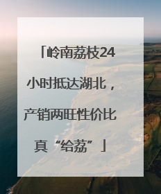 岭南荔枝24小时抵达湖北，产销两旺性价比真“给荔”
