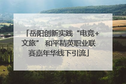 岳阳创新实践“电竞+文旅” 和平精英职业联赛嘉年华线下引流