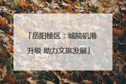 岳阳楼区：城陵矶港升级 助力文旅发展