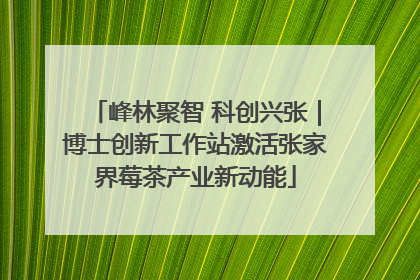 峰林聚智 科创兴张｜博士创新工作站激活张家界莓茶产业新动能