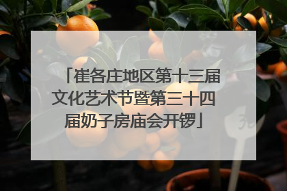 崔各庄地区第十三届文化艺术节暨第三十四届奶子房庙会开锣