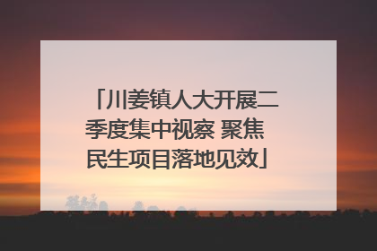 川姜镇人大开展二季度集中视察 聚焦民生项目落地见效