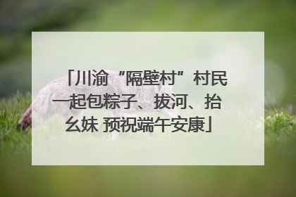 川渝“隔壁村”村民一起包粽子、拔河、抬幺妹 预祝端午安康