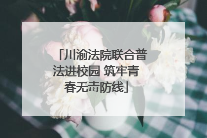 川渝法院联合普法进校园 筑牢青春无毒防线