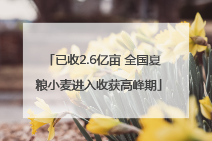 已收2.6亿亩 全国夏粮小麦进入收获高峰期