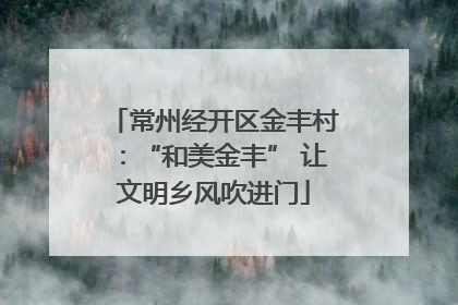 常州经开区金丰村：“和美金丰” 让文明乡风吹进门