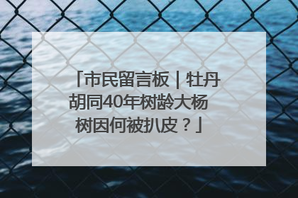 市民留言板｜牡丹胡同40年树龄大杨树因何被扒皮？