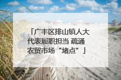 广丰区排山镇人大代表履职担当 疏通农贸市场“堵点”