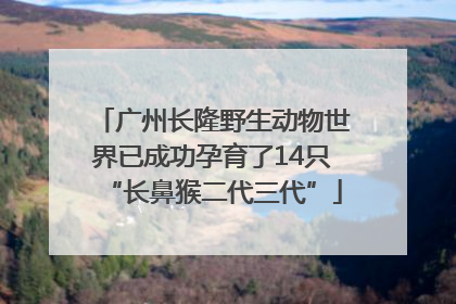 广州长隆野生动物世界已成功孕育了14只“长鼻猴二代三代”