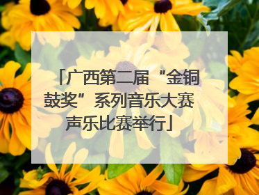 广西第二届“金铜鼓奖”系列音乐大赛声乐比赛举行