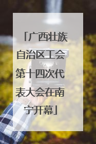 广西壮族自治区工会第十四次代表大会在南宁开幕