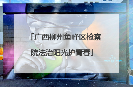 广西柳州鱼峰区检察院法治阳光护青春