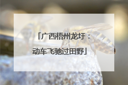 广西梧州龙圩：动车飞驰过田野