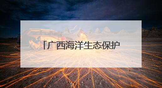 广西海洋生态保护修复成效显著 探索生态惠民发展模式