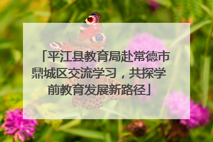 平江县教育局赴常德市鼎城区交流学习，共探学前教育发展新路径