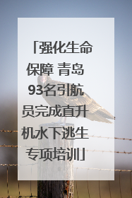 强化生命保障 青岛93名引航员完成直升机水下逃生专项培训