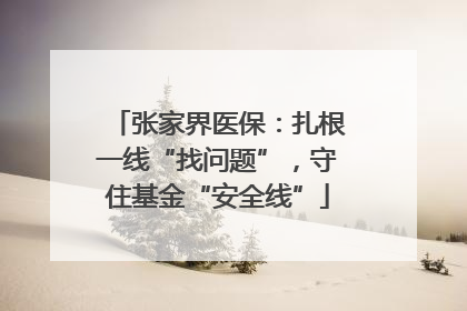 张家界医保：扎根一线“找问题”，守住基金“安全线”