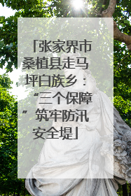 张家界市桑植县走马坪白族乡：“三个保障”筑牢防汛安全堤
