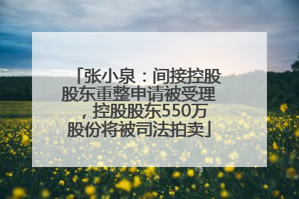 张小泉：间接控股股东重整申请被受理，控股股东550万股份将被司法拍卖
