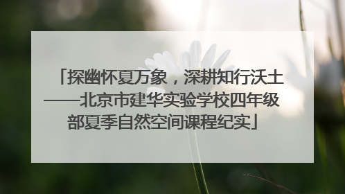 探幽怀夏万象，深耕知行沃土——北京市建华实验学校四年级部夏季自然空间课程纪实