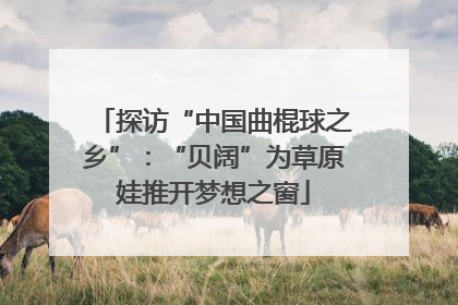 探访“中国曲棍球之乡”：“贝阔”为草原娃推开梦想之窗